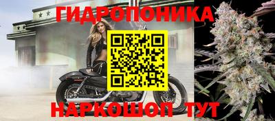 прущий лед Бийск