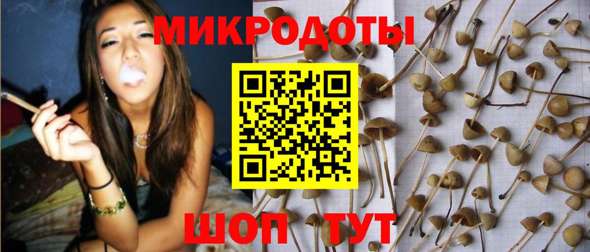 Кирово-Чепецк  Псилоцибиновые грибы прущие грибы  цена   Вход с VPN 